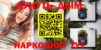 кокс Кингисепп