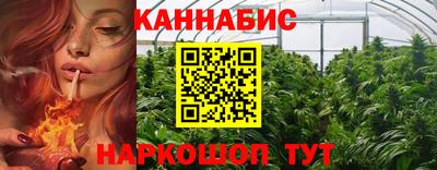 кокс Кингисепп