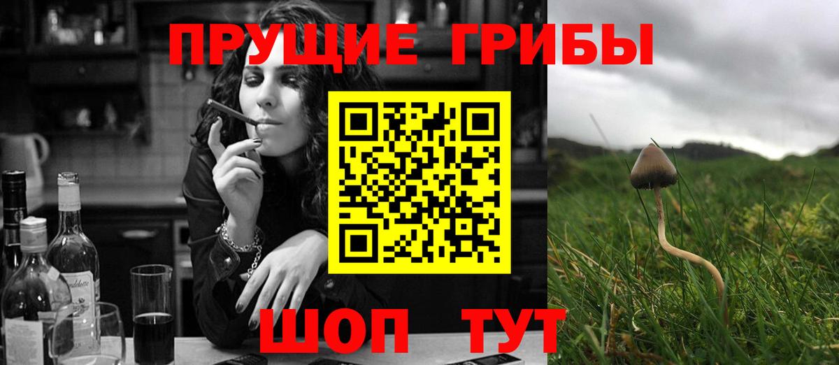 Псилоцибиновые грибы GOLDEN TEACHER  Вход с VPN  Куйбышев 